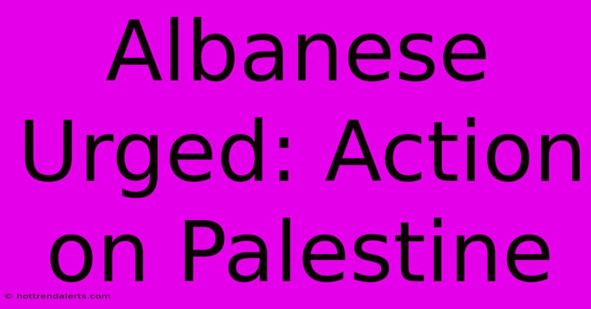 Albanese Urged: Action On Palestine