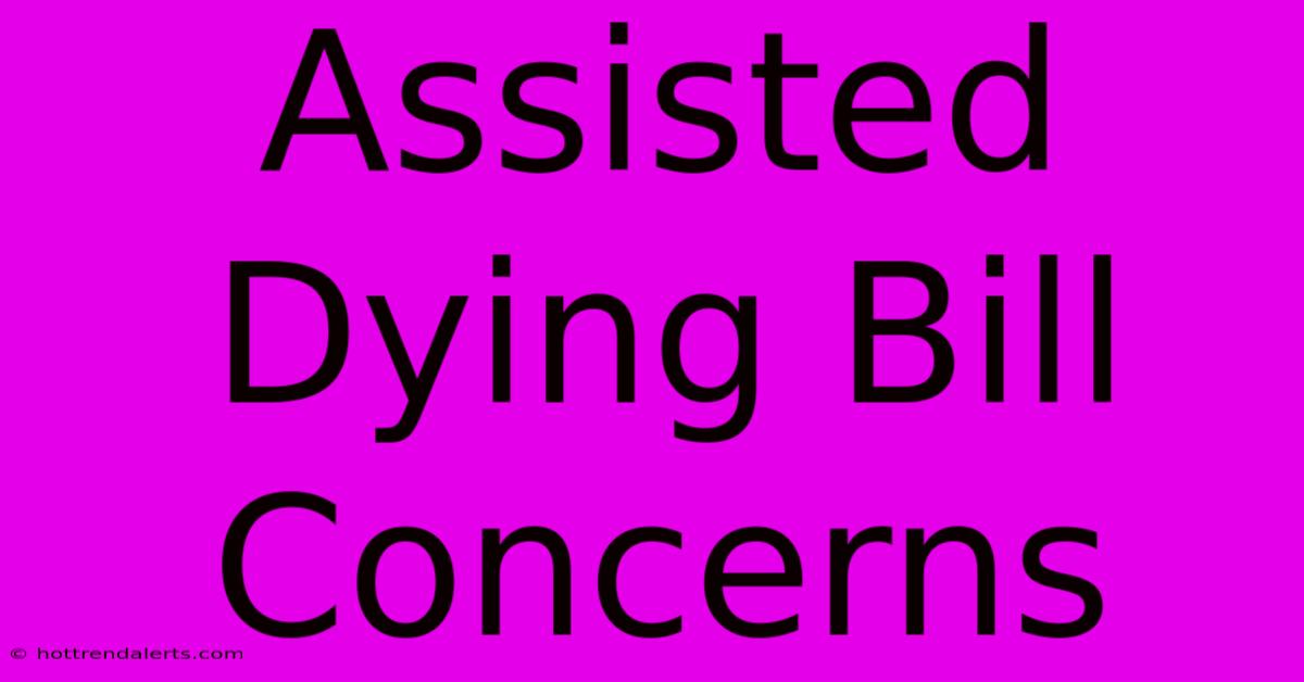 Assisted Dying Bill Concerns