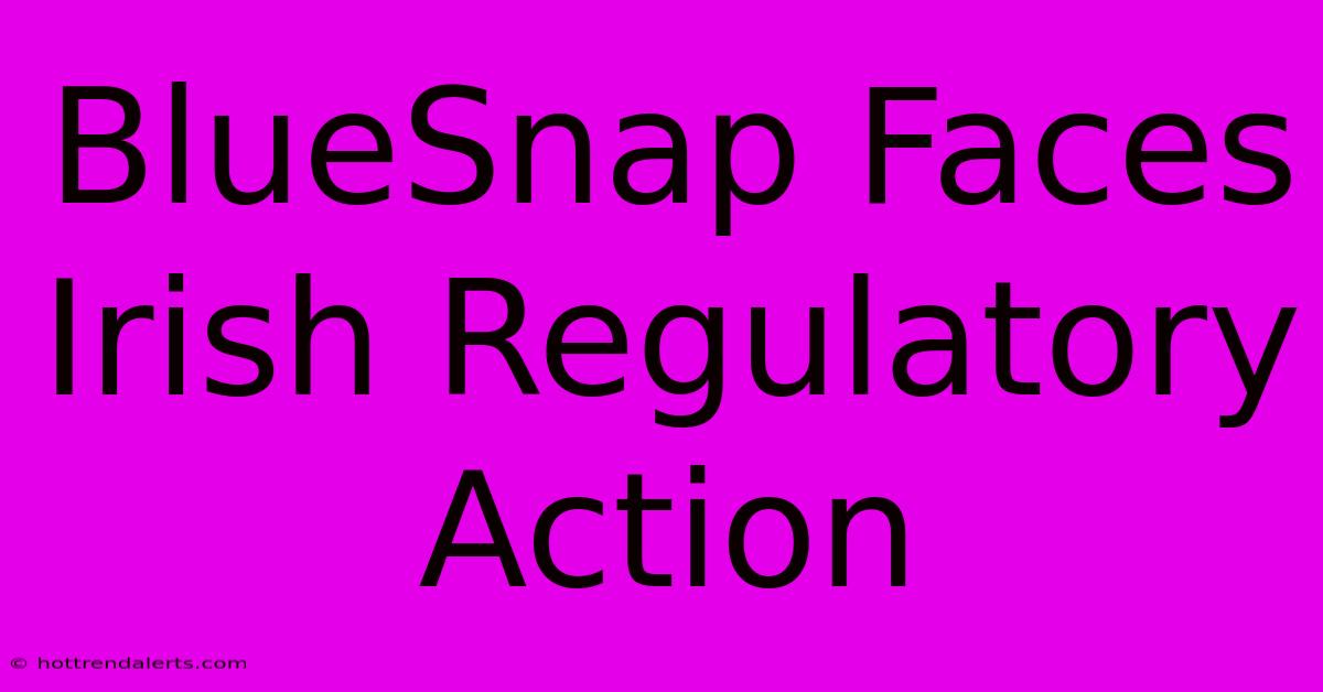 BlueSnap Faces Irish Regulatory Action