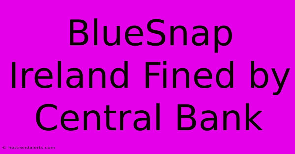 BlueSnap Ireland Fined By Central Bank