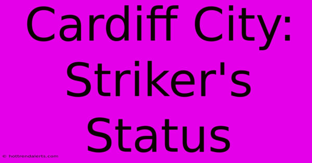 Cardiff City: Striker's Status