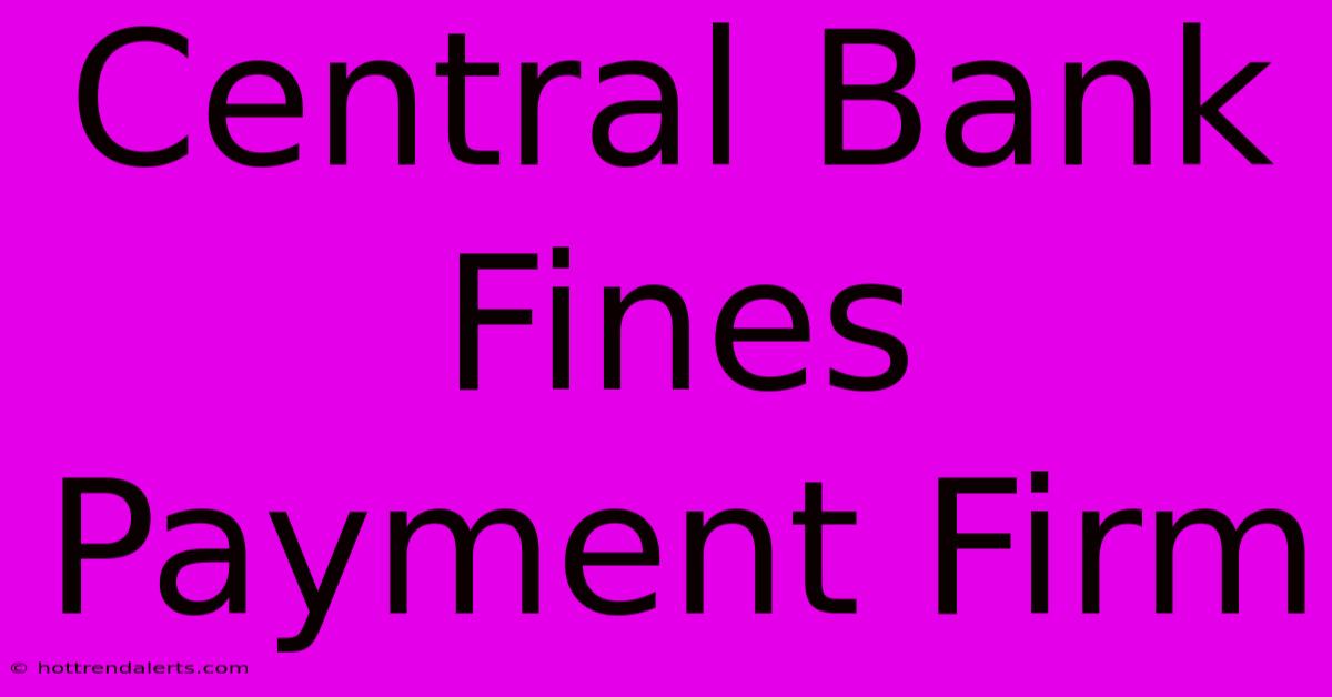 Central Bank Fines Payment Firm