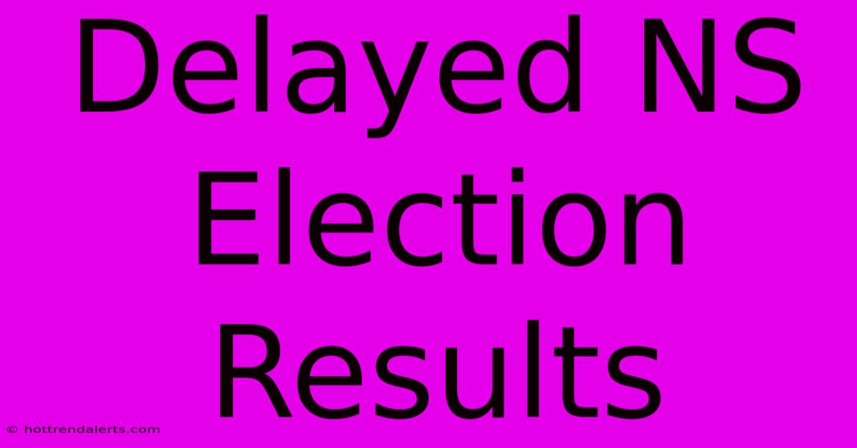 Delayed NS Election Results