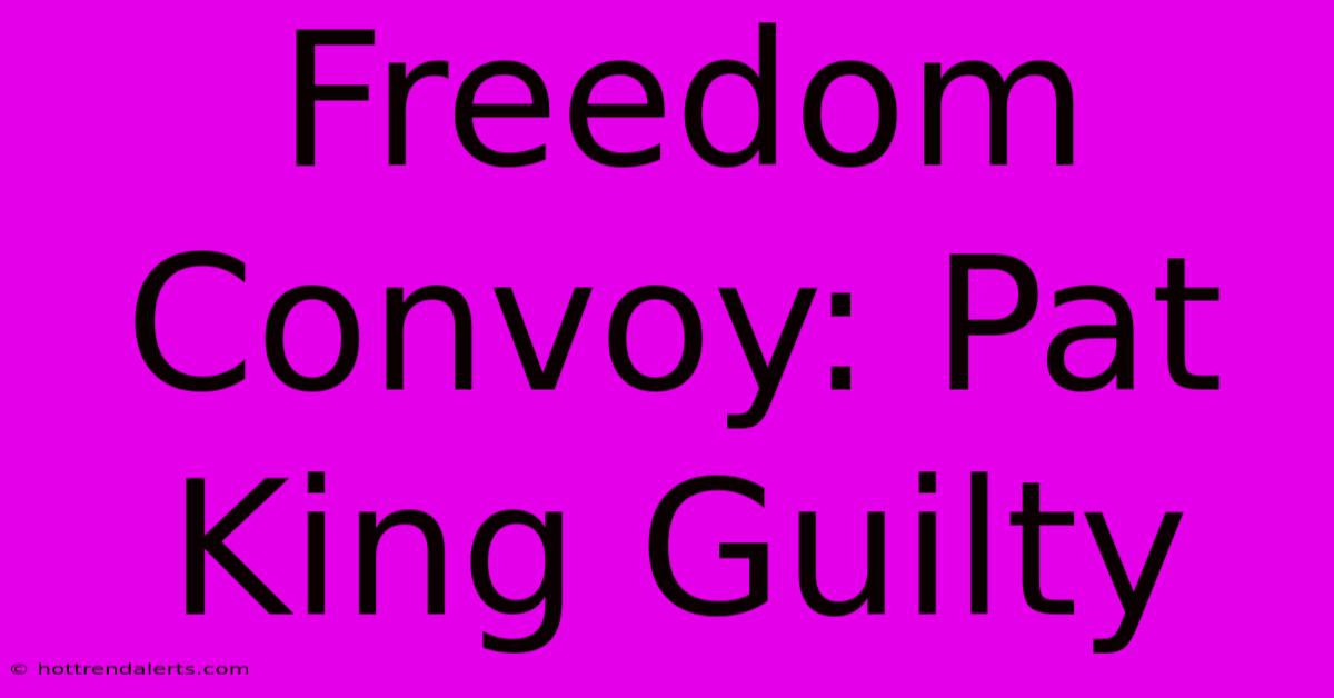 Freedom Convoy: Pat King Guilty