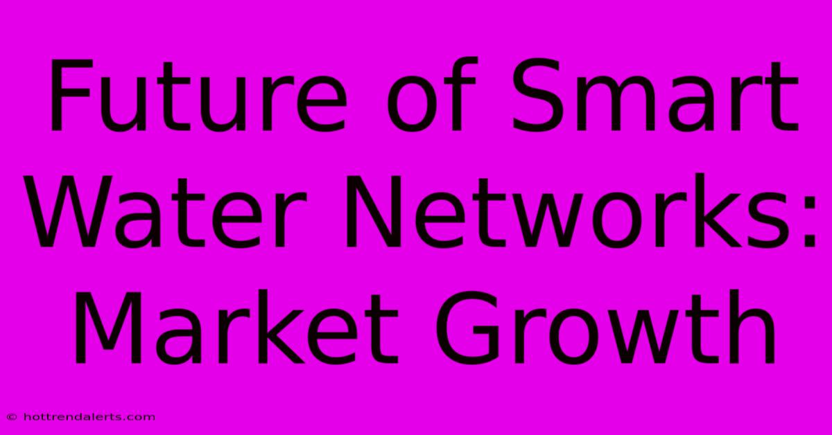 Future Of Smart Water Networks: Market Growth