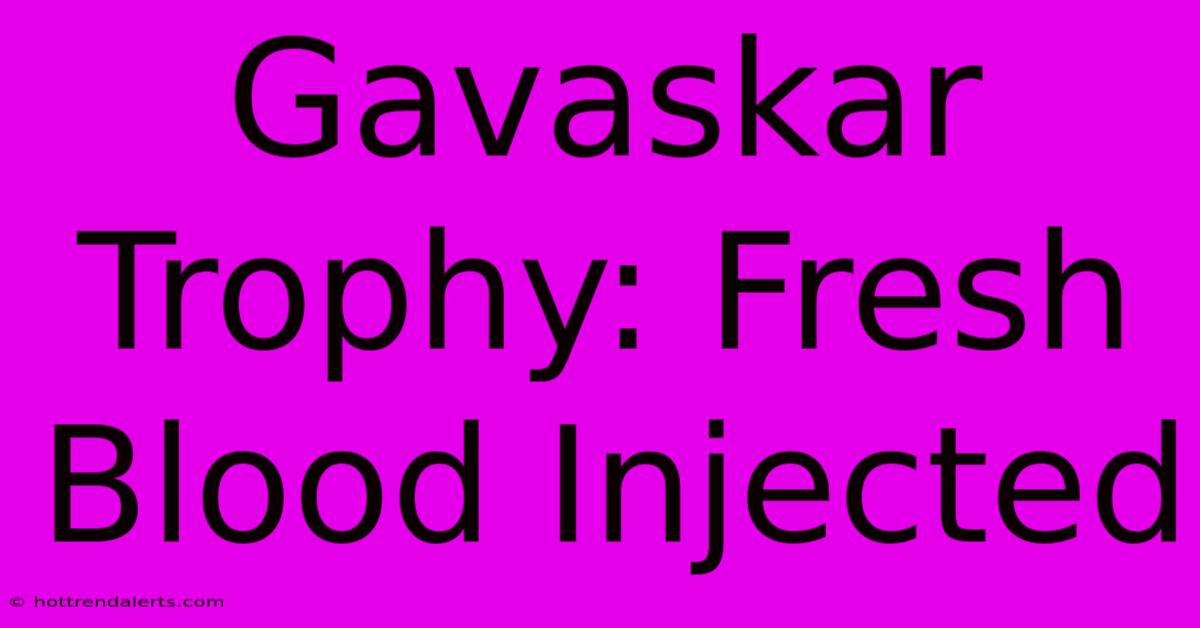 Gavaskar Trophy: Fresh Blood Injected