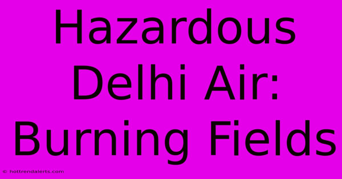 Hazardous Delhi Air: Burning Fields