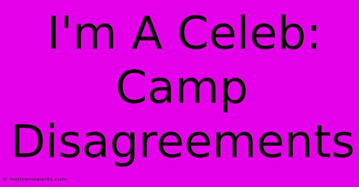 I'm A Celeb: Camp Disagreements