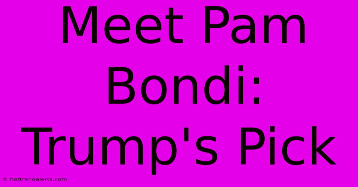 Meet Pam Bondi: Trump's Pick