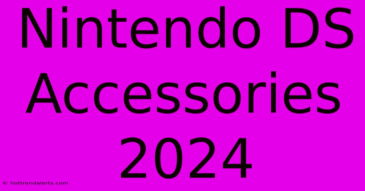 Nintendo DS Accessories 2024