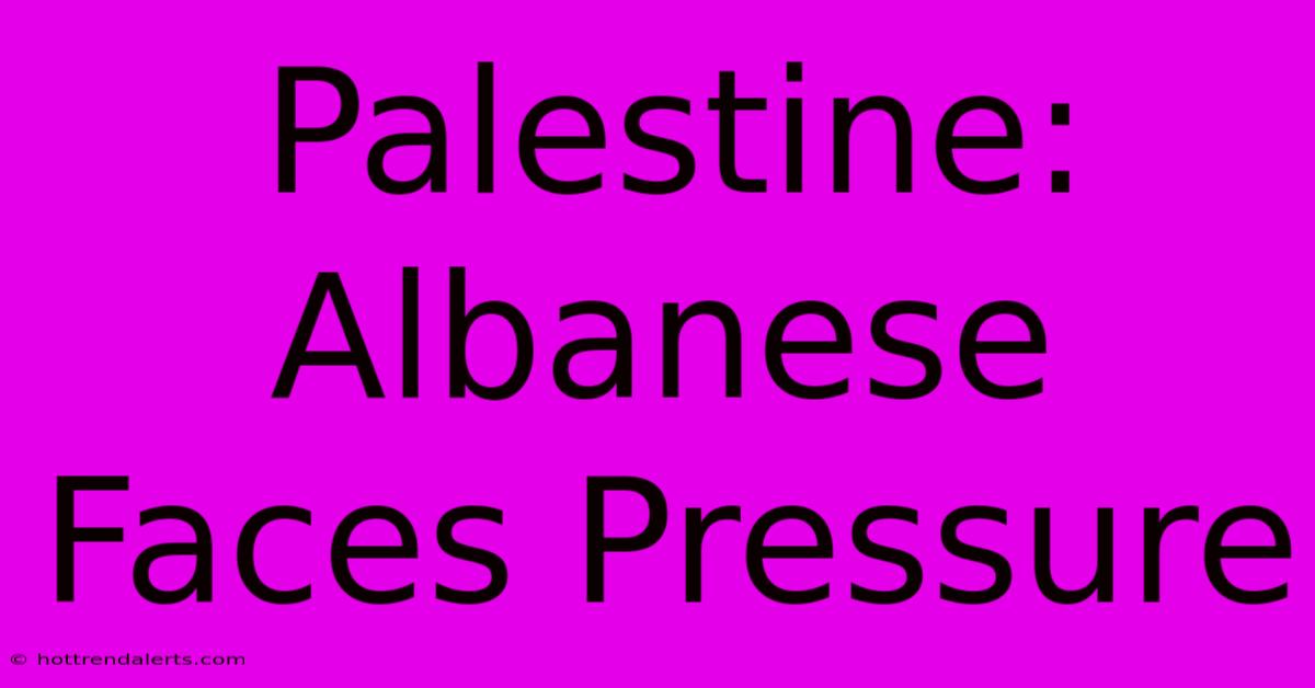 Palestine: Albanese Faces Pressure