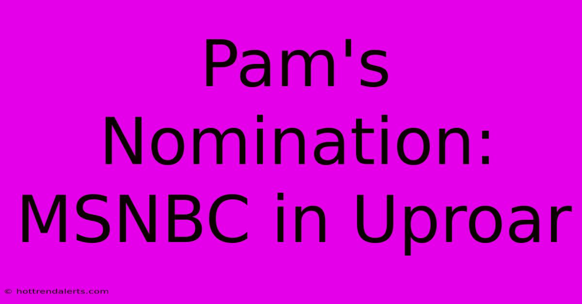 Pam's Nomination: MSNBC In Uproar