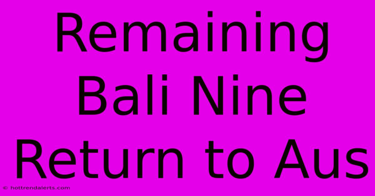 Remaining Bali Nine Return To Aus