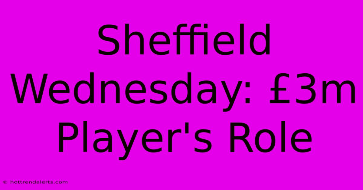 Sheffield Wednesday: £3m Player's Role