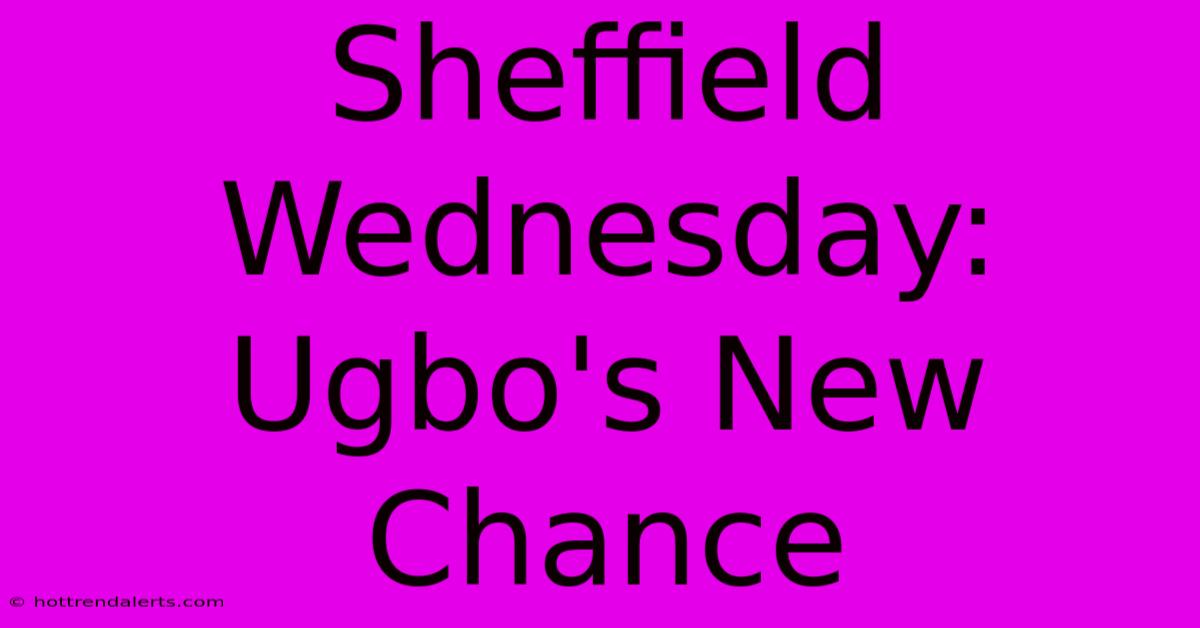 Sheffield Wednesday: Ugbo's New Chance