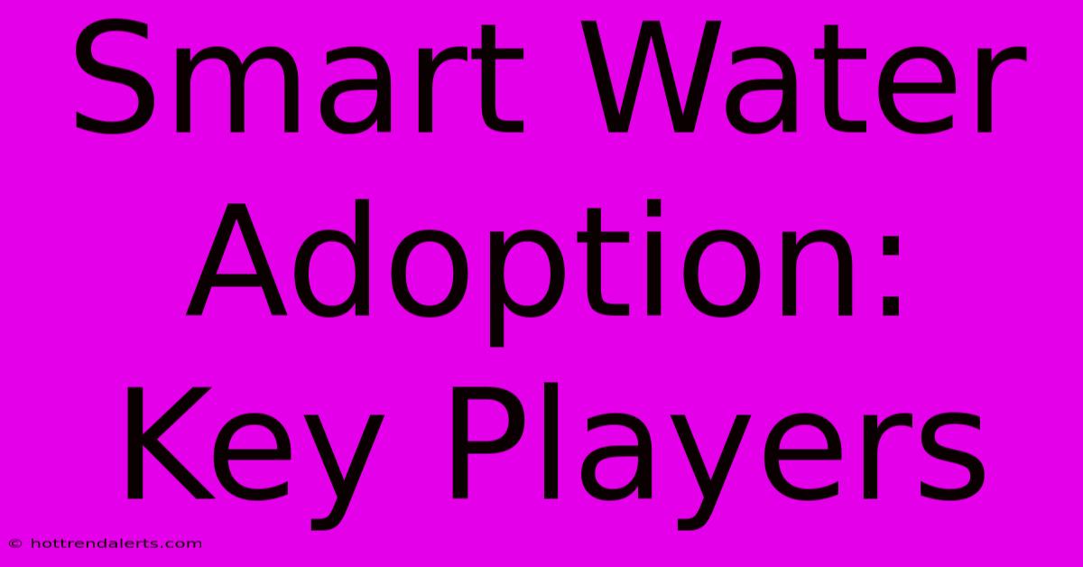 Smart Water Adoption: Key Players