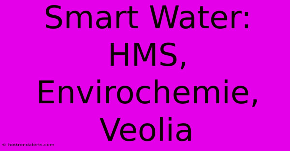 Smart Water: HMS, Envirochemie, Veolia