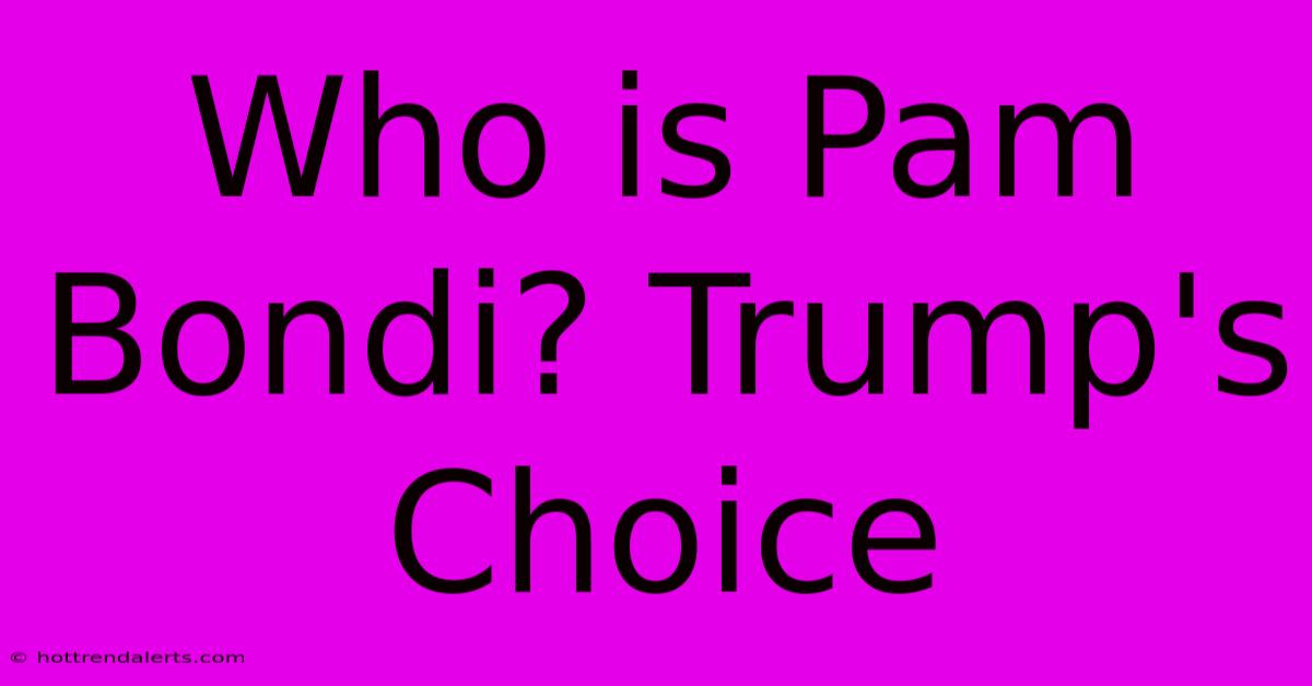 Who Is Pam Bondi? Trump's Choice